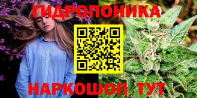 гашик Гусев