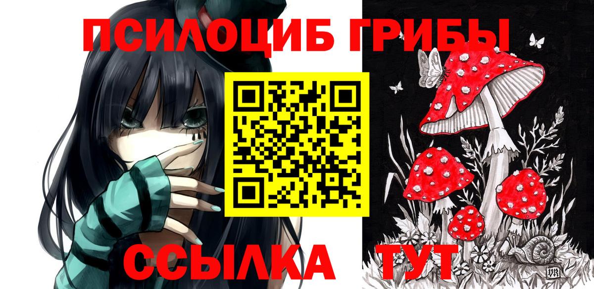 Моздок  Галлюциногенные грибы ЛСД  Вход с VPN  Галлюциногенные грибы прущие грибы 