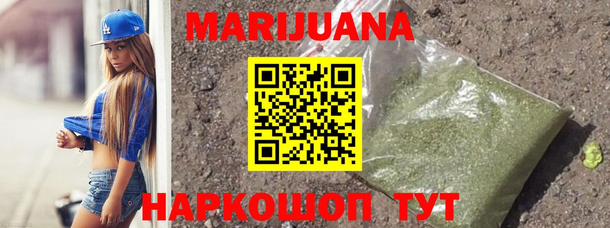 Марихуана сатива Моздок